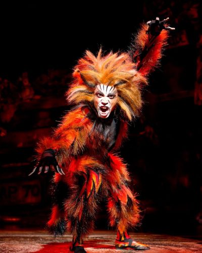 Cats on Broadway