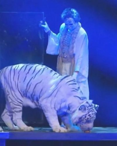 Siegfried & Roy