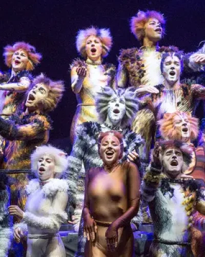 Cats on Broadway