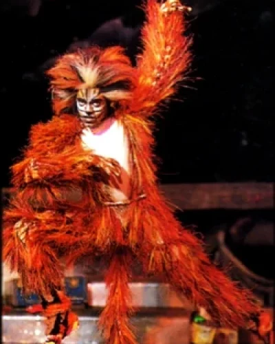 Cats on Broadway