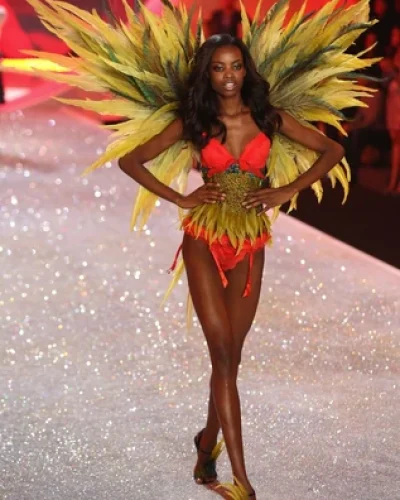 Victoria's Secret Fashion Show