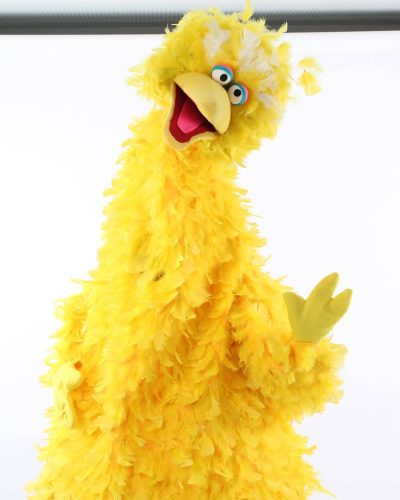 Big Bird